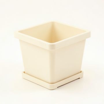 Lake Bluff Empty Planter - Cream (synthetic illustration; no displayed measurements)