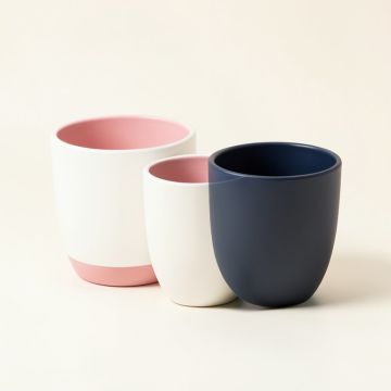 Mcchord 2 Piece Ceramic Pot Planter Set (synthetic illustration; no displayed measurements)