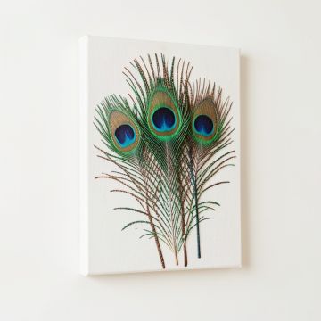Peacock Feather - 3 Piece Graphic Art On Wrapped Canvas Set (synthetic illustration; no displayed measurements)