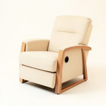 Rumford 32.3 '' Wide Power Lift Assist Standard Recliner (synthetic illustration; no displayed measurements)