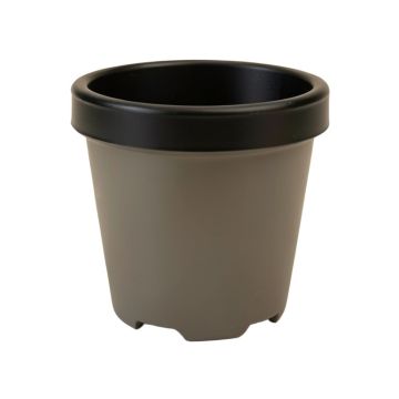 Classico Ls Self-Watering Plastic Pot Planter