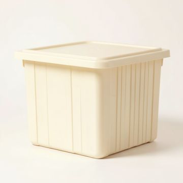Dawn Crest Closed Outdoor Storage Box - Ivory (synthetic illustration; no displayed measurements)