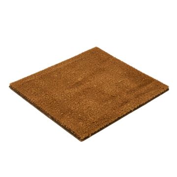 Hi Bye 29 In . X 17 In . Non-Slip Outdoor Door Mat