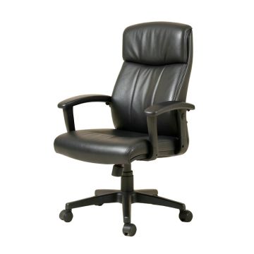 Albaugh Executive Chair