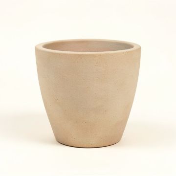 Brancato Resin Pot Planter (synthetic illustration; no displayed measurements)