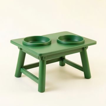 Sage Canyon Pet Feeding Stand With Two Plain Empty Bowls - Green (synthetic illustration; no displayed measurements)