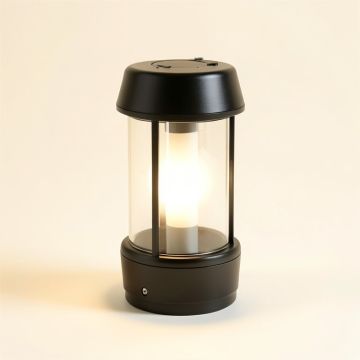12 '' Integrated Led Color Changing Outdoor Floating Light (synthetic illustration; no displayed measurements)