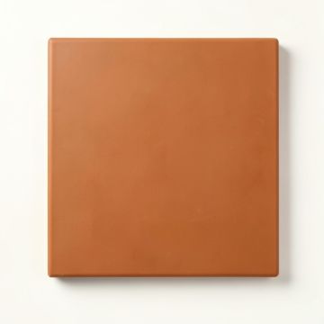 Spruce Crossing Uninstalled Square Decorative Tile - Terracotta (synthetic illustration; no displayed measurements)