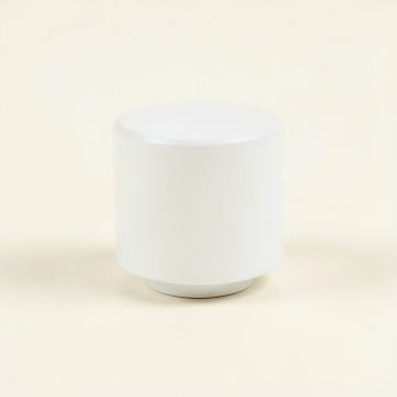 Elm Crossing Cabinet Knob Without Packaging - White (synthetic illustration; no displayed measurements)