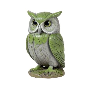 Nocturnal Owl Decor