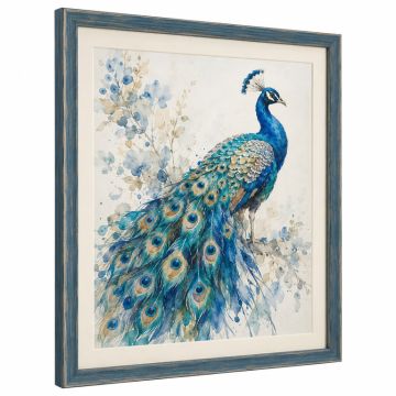Peacock By Edswatercolours - Print