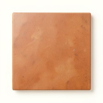 Flint Branch Uninstalled Square Decorative Tile - Terracotta (synthetic illustration; no displayed measurements)
