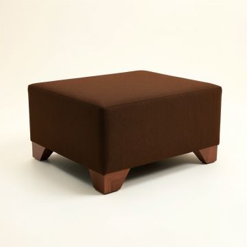 Sermin 18 '' Rectangle Standard Ottoman (synthetic illustration; no displayed measurements)