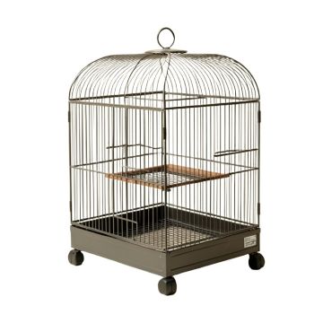 Olivia Play Top Parrot Bird Cage