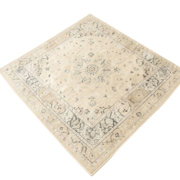 Oriental Ivory , Beige , And Grey Area Rug