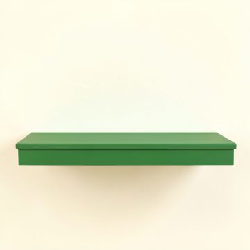 Moss Brook Wall-Mounted Shelf - Green (synthetic illustration; no displayed measurements)