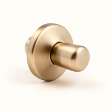 Taryn Cabinet Ring Pull (synthetic illustration; no displayed measurements)