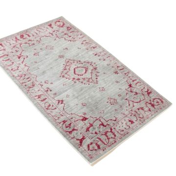 Katie Oriental Light Gray / Fuchsia Area Rug