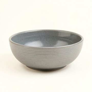 Juniper Brook Dining Bowl - Gray (synthetic illustration; no displayed measurements)