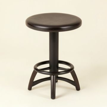 Encarnacion Bar & Counter Swivel Stool (synthetic illustration; no displayed measurements)