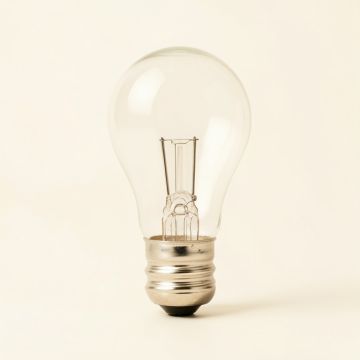 60 Watt B10 Xenon/Krypton Dimmable Light Bulb , ( 2700K ) E12/Candelabra Base (synthetic illustration; no displayed measurements)