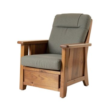 29.1 '' Wide Power Lift Assist Standard Recliner (synthetic illustration; no displayed measurements)