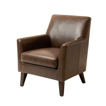 Minton Upholstered Dining Chair (synthetic illustration; no displayed measurements)