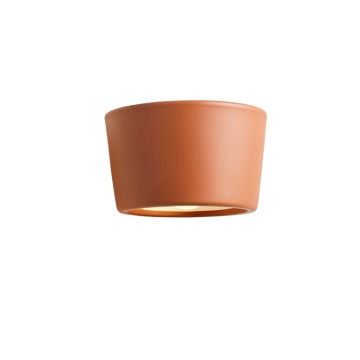 Meadow Branch Wall Sconce Mounted On A Plain Wall - Terracotta