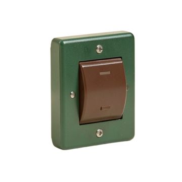 Peacocks 2-Gang Toggle Light Switch Wall Plate