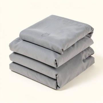 Highlights Hooting Owls Hidden Pictures Queen Sheet Set (synthetic illustration; no displayed measurements)