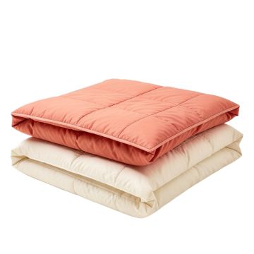 Azaleh All Season Microfiber Down Alternative Comforter
