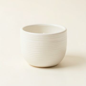 Olive Brook Empty Candle Holder - White (synthetic illustration; no displayed measurements)