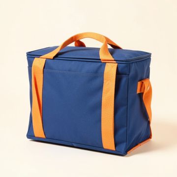 Freezable Lunch Bag (synthetic illustration; no displayed measurements)