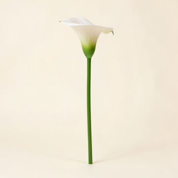 Calla Lily Stem (synthetic illustration; no displayed measurements)