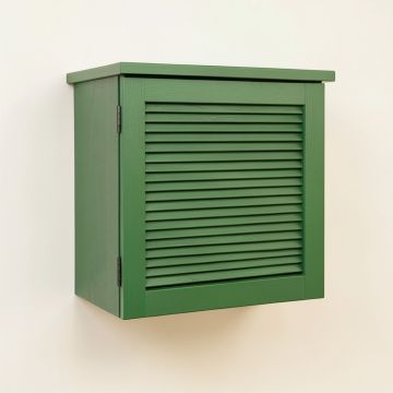 River Dell Wall-Mounted Laundry Cabinet - Green (synthetic illustration; no displayed measurements)