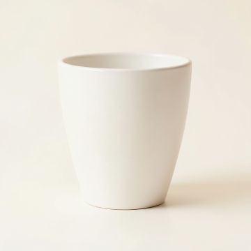 Shore Bend Empty Planter - White (synthetic illustration; no displayed measurements)