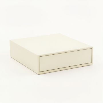 River Branch Desktop Monitor Riser - Cream (synthetic illustration; no displayed measurements)