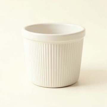 Reed Canyon Empty Planter - White (synthetic illustration; no displayed measurements)