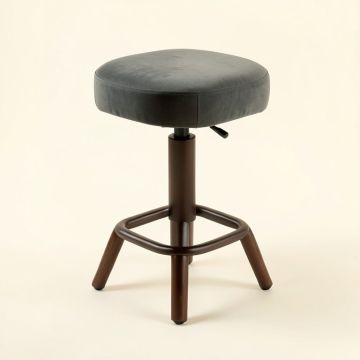 Neriah Swivel Bar & Counter Stool (synthetic illustration; no displayed measurements)