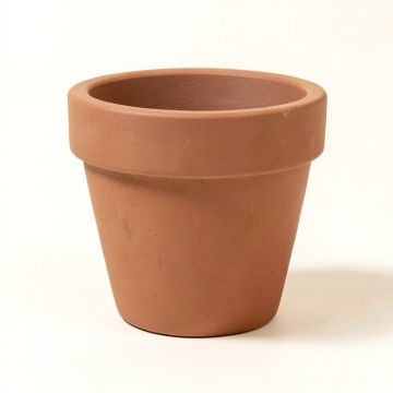 Hopson Resin Pot Planter (synthetic illustration; no displayed measurements)