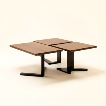 Hounslow 2 Piece Coffee Table Set (synthetic illustration; no displayed measurements)