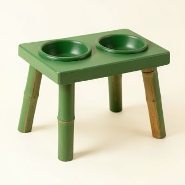 Dawn Brook Pet Feeding Stand With Two Plain Empty Bowls - Green (synthetic illustration; no displayed measurements)