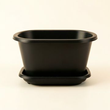 Briar Arc Empty Raised Planter (synthetic illustration; no displayed measurements)