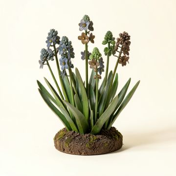 Suffolk Fairy Scilla Flower Garden Statue (synthetic illustration; no displayed measurements)