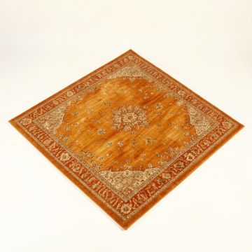 Valenzuela Oriental Orange Area Rug (synthetic illustration; no displayed measurements)