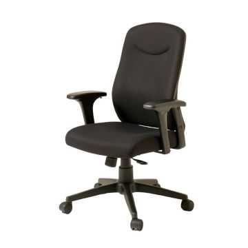 Ergonomic Task Chair