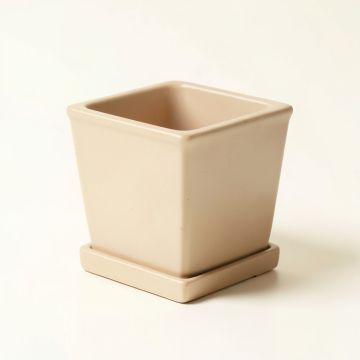Dune Branch Empty Planter - Beige (synthetic illustration; no displayed measurements)