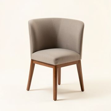 Waterbury Dining Chair (synthetic illustration; no displayed measurements)