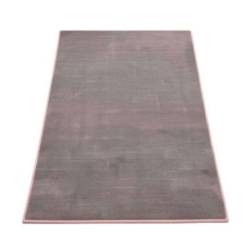 Hillsby Oriental Gray/Pink Area Rug