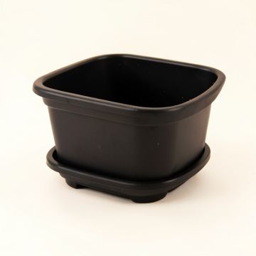 Juniper Branch Empty Raised Planter - Black (synthetic illustration; no displayed measurements)